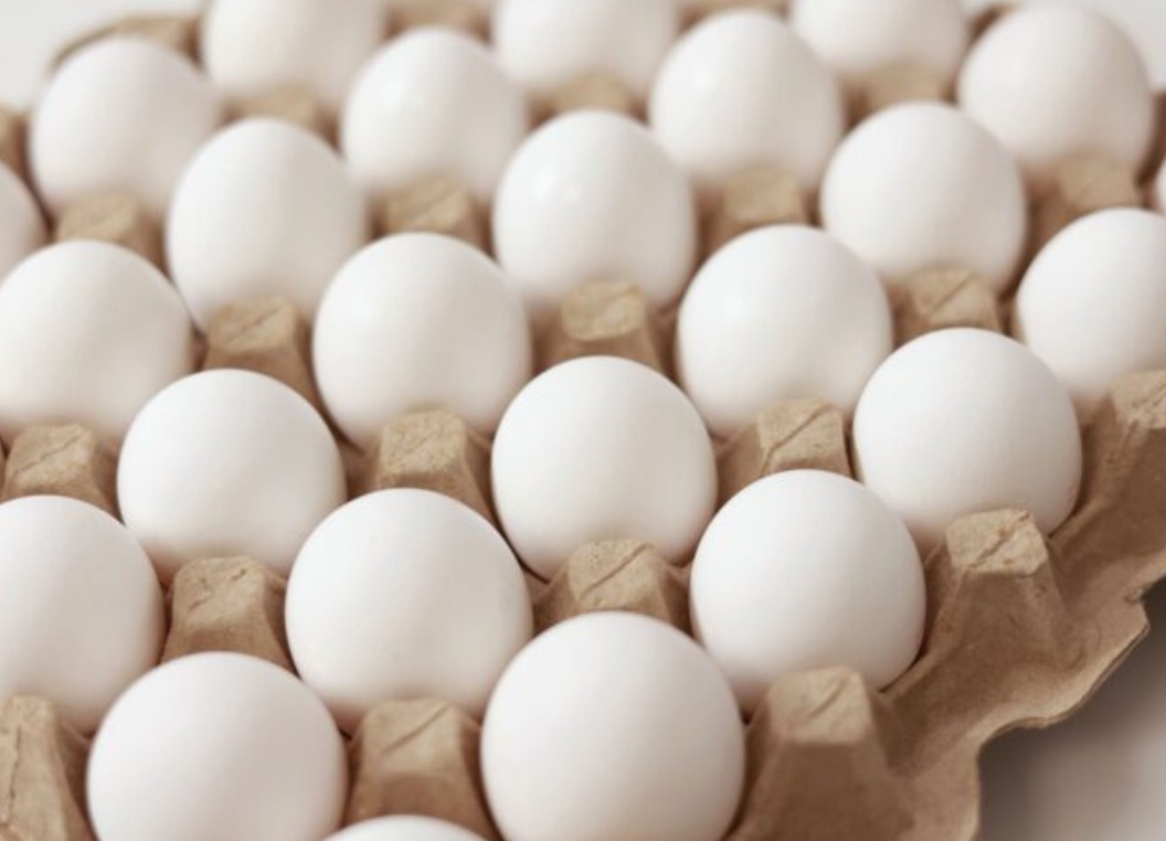 റമദാൻ മുന്നോടിയായി മുട്ടയുടെ ലഭ്യതയും വിലസ്ഥിരതയും നിരീക്ഷിച്ച് ഉപഭോക്തൃ സഹകരണ യൂണിയൻ