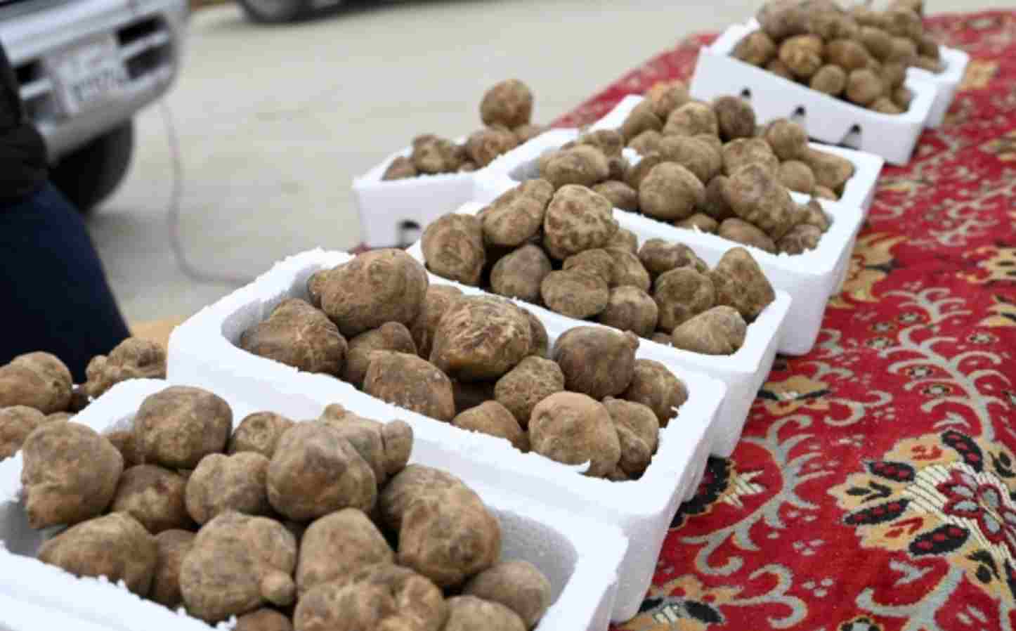 കുവൈത്തിൽ 