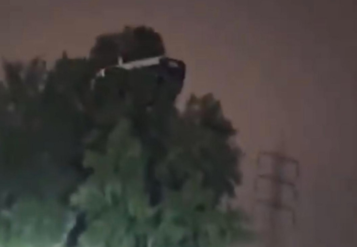 മരംകയറിയ കാർ, ആറാം റിങ് റോഡിൽ ഞെട്ടിച്ച് നാടകീയ രംഗങ്ങൾ; ഒടുവിൽ എങ്ങനെയെന്ന് കണ്ടെത്തി