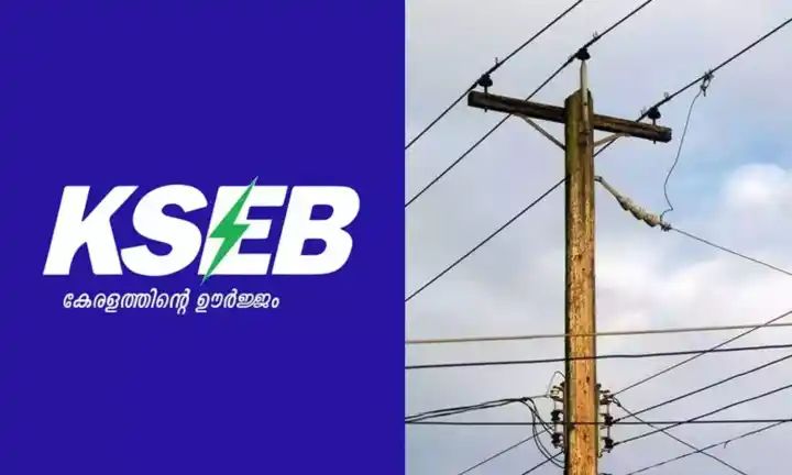 വൈദ്യുതി അപകടങ്ങള്‍ ഒഴിവാക്കാനായി കെഎസ്‌ഇബി കവചിത ലൈനുകള്‍ നിര്‍മിക്കും