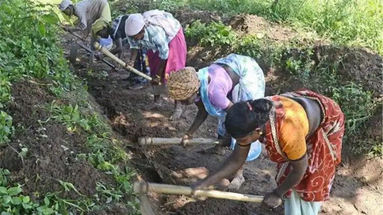 മഹാത്മാ ഗാന്ധി ഗ്രാമീണ തൊഴിലുറപ്പ് വേതനം പുതുക്കി; കേരളത്തില്‍ ദിവസവേതനം 346 രൂപ