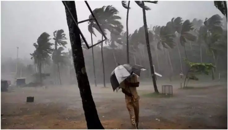 മണ്‍സൂണ്‍ മഴ: 