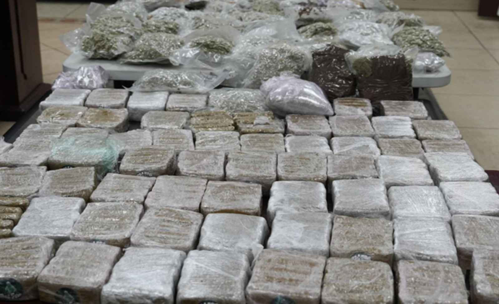 50 കിലോഗ്രാം മയക്കുമരുന്ന് പിടിച്ച് എയര്‍ കാര്‍ഗോ കസ്റ്റംസ്