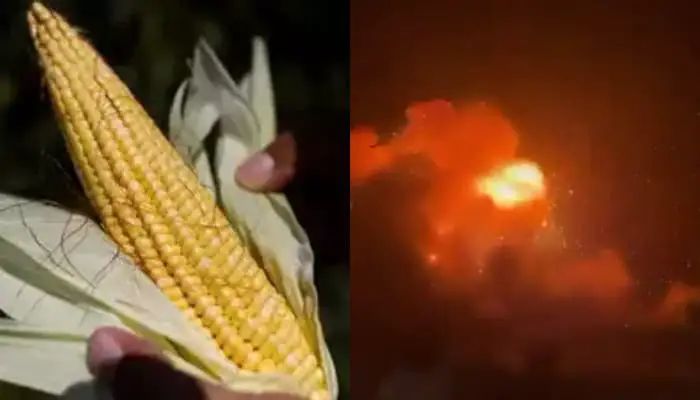 സംഘര്‍ഷത്തിനിടയില്‍ കരിഞ്ചന്തയും പൂഴ്ത്തിവെപ്പും പാടില്ല; ക്ഷാമമുണ്ടാവാതിരിക്കാൻ കര്‍ശന നിര്‍ദേശം നല്‍കി സര്‍ക്കാര്‍