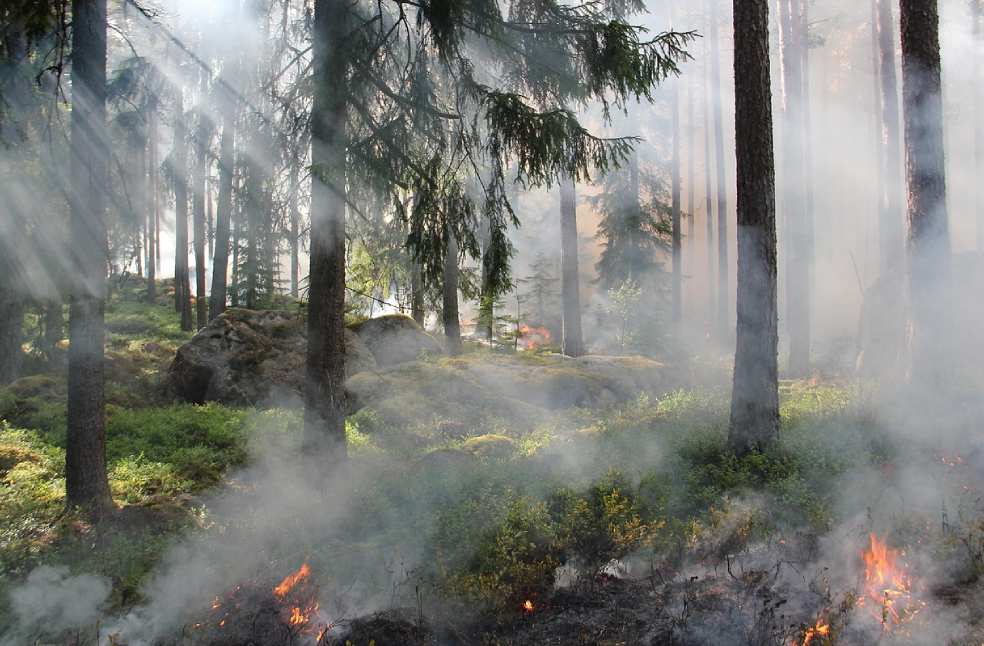Strong Winds Fan Izmir Wildfires in Turkey, Force Village Evacuations